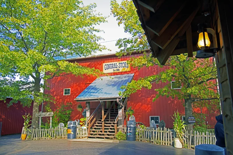Fresh warm apple cider donuts at Bengtson's Pumpkin Farm