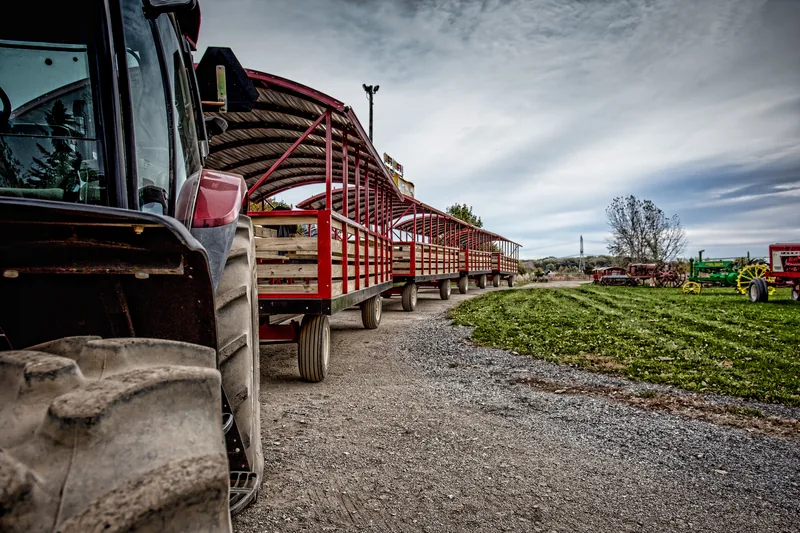 Tractor pulling wagon full of visitors through Bengtson's Pumpkin Farm
