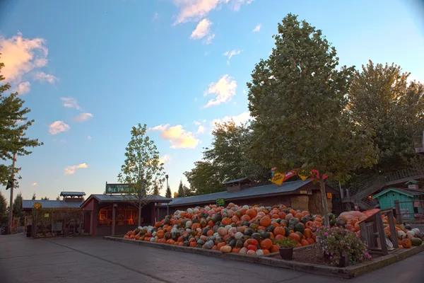 Hundreds of pumpkins stacked into a decorative autumn pyramid display