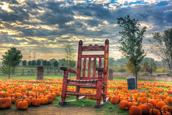 Giant wooden rocking chair photo spot on the farm lawn