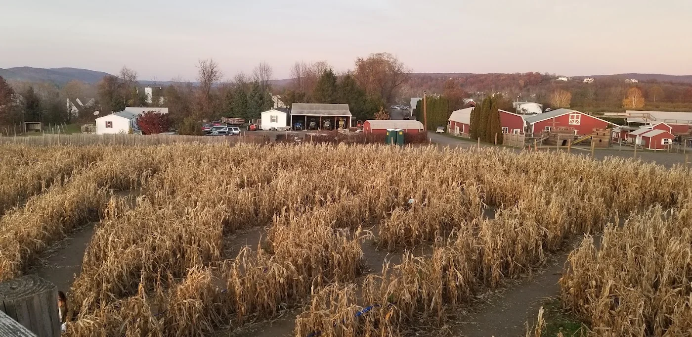 Barton Orchards pumpkin patch and fall festival in Poughquag, NY