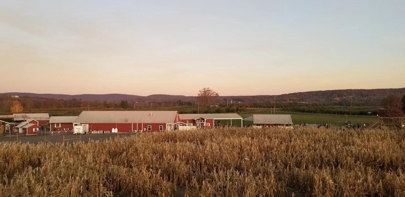 Barton Orchards pumpkin patch and fall festival in Poughquag, NY
