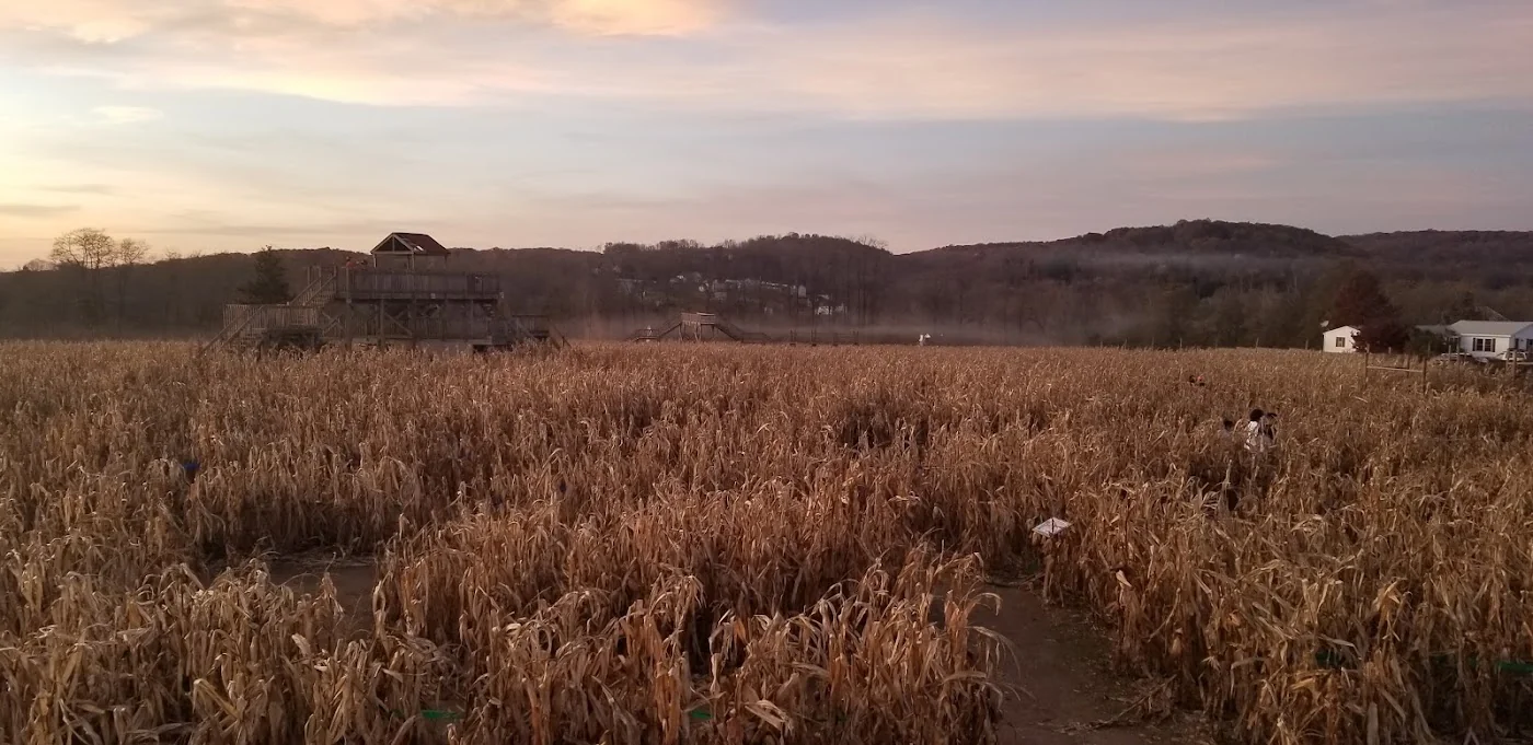 Barton Orchards pumpkin patch and fall festival in Poughquag, NY