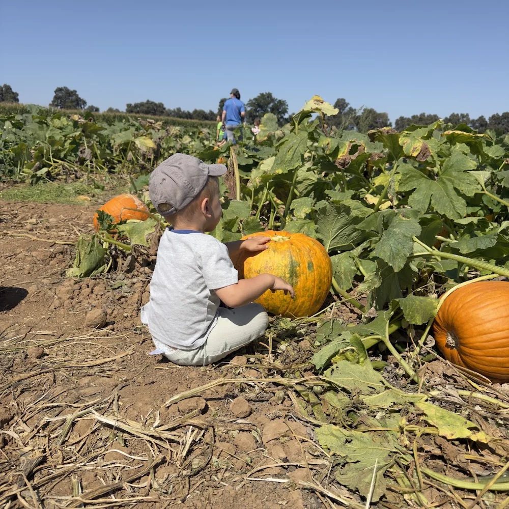 Bishop's Pumpkin Farm pumpkin patch and fall festival in Wheatland, CA