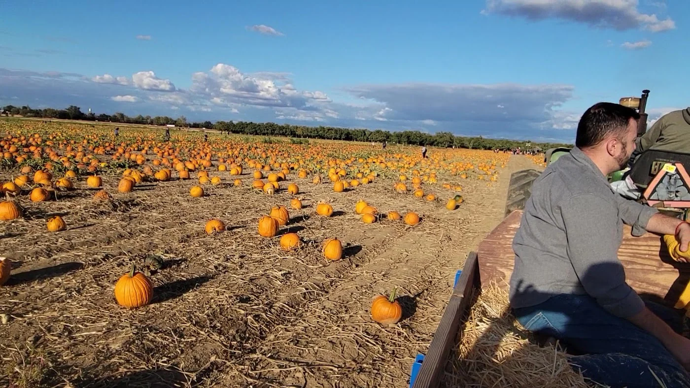 Bishop's Pumpkin Farm pumpkin patch and fall festival in Wheatland, CA