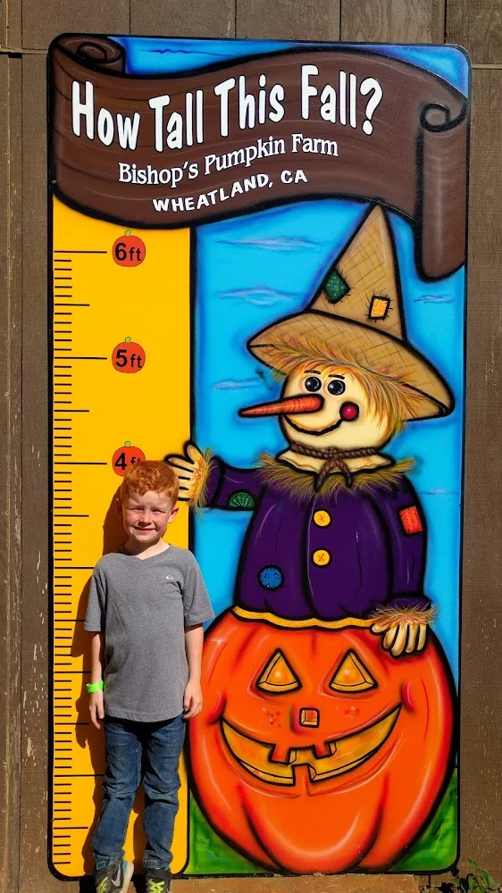 Bishop's Pumpkin Farm pumpkin patch and fall festival in Wheatland, CA