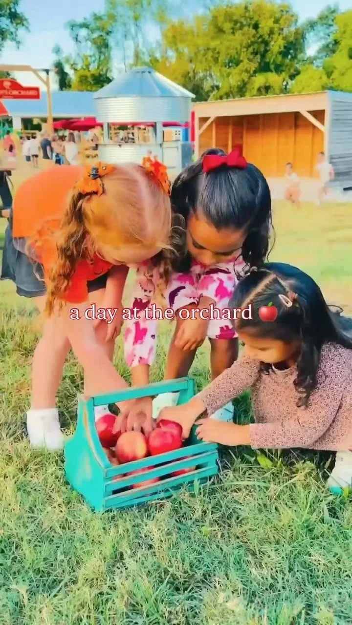 Breeden's Orchard pumpkin patch and fall festival in Mount Juliet, TN