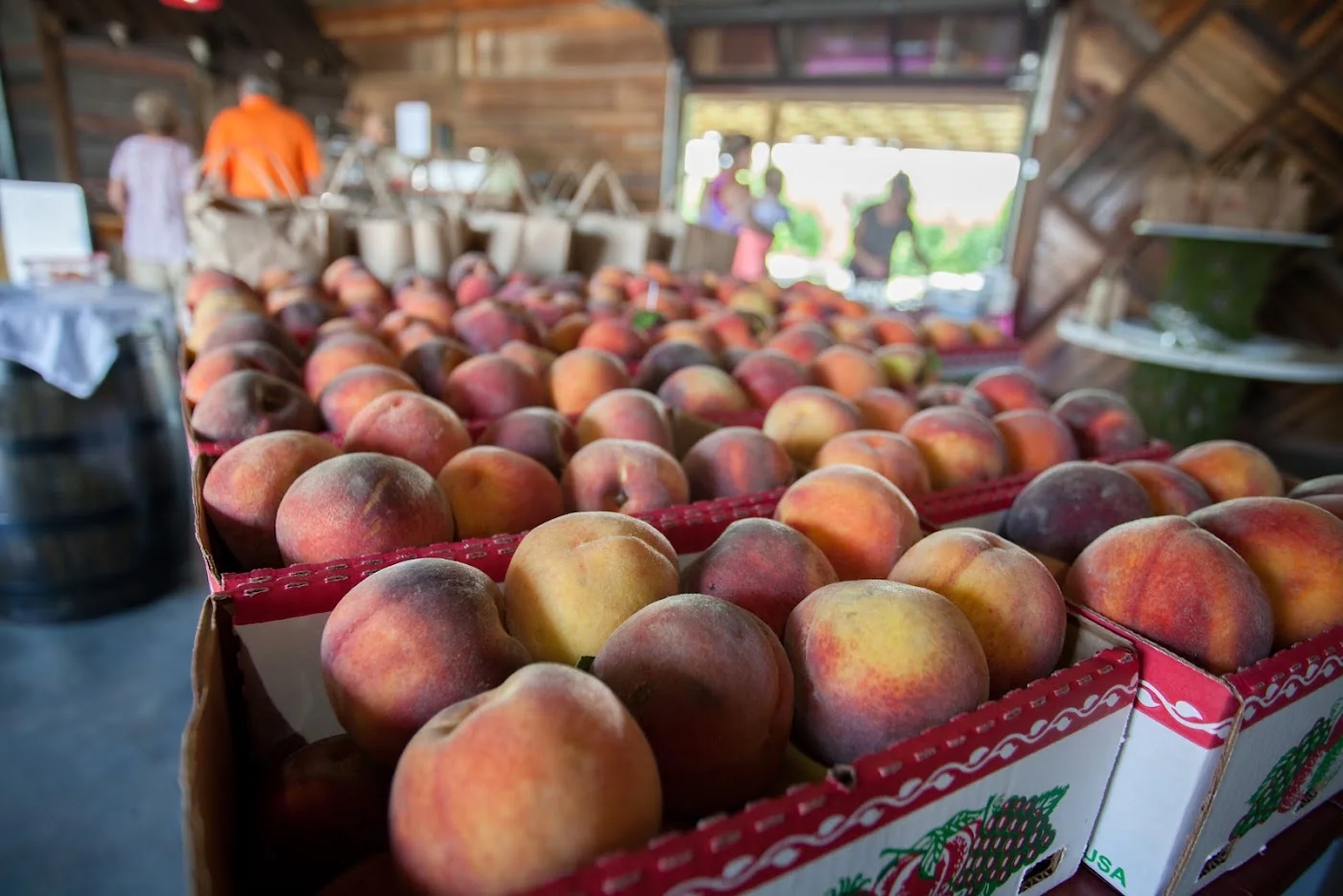 Breeden's Orchard pumpkin patch and fall festival in Mount Juliet, TN