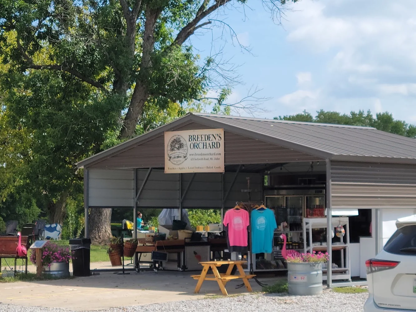 Breeden's Orchard pumpkin patch and fall festival in Mount Juliet, TN