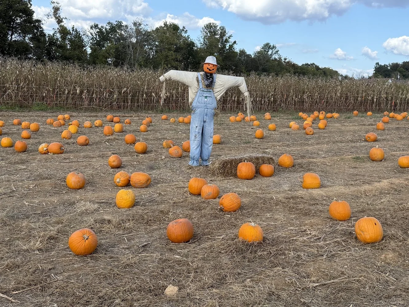 Cedarwood Farms pumpkin patch and fall festival in McMinnville, TN