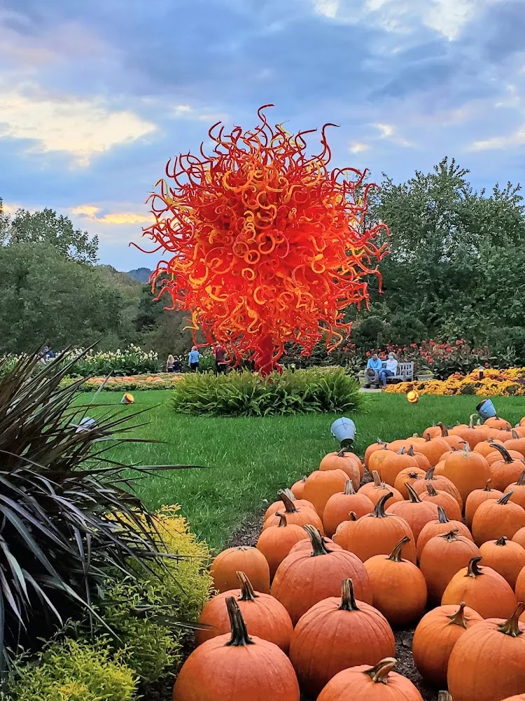 Cheekwood Harvest at Cheekwood Estate & Gardens pumpkin patch and fall festival in Nashville, TN