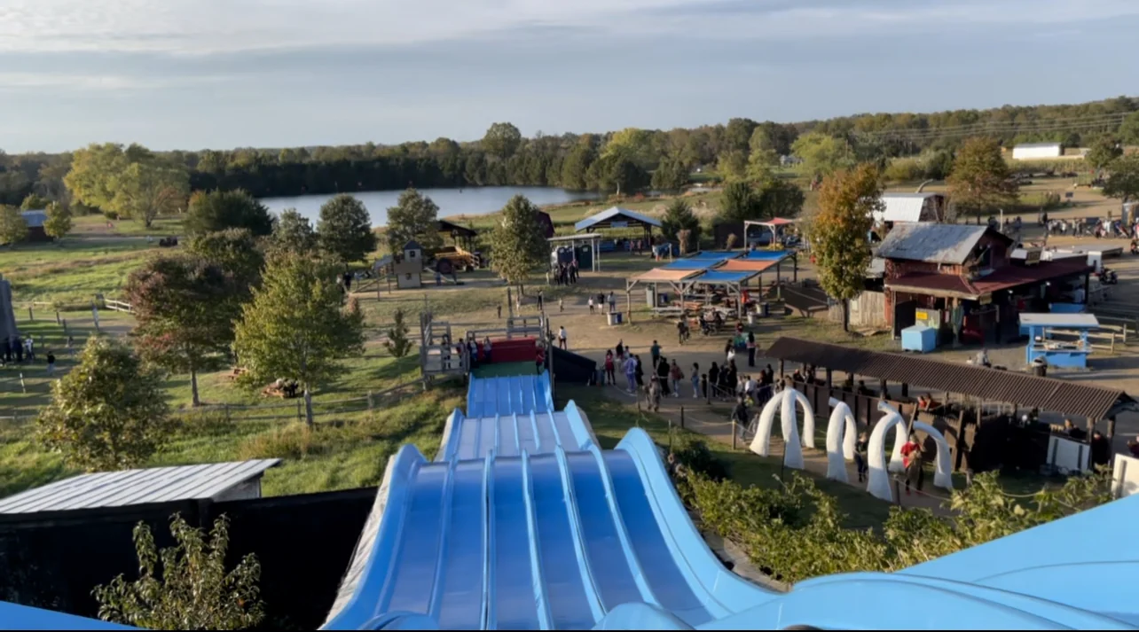 Cox Farms pumpkin patch and fall festival in Centreville, VA