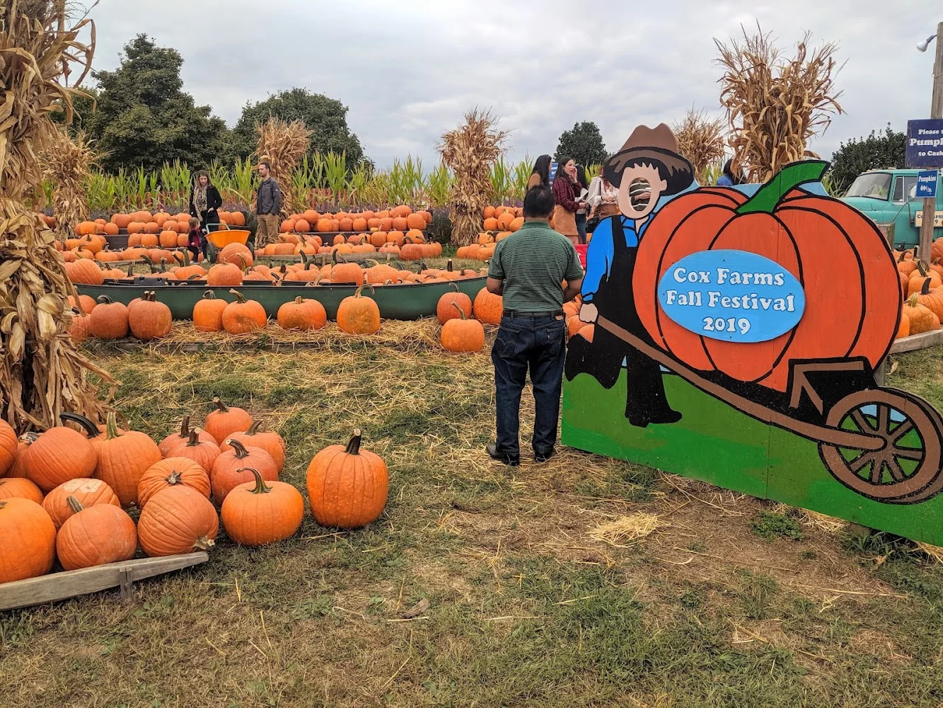 Cox Farms pumpkin patch and fall festival in Centreville, VA