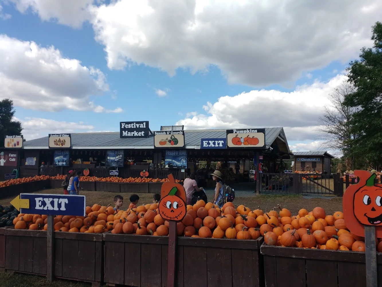 Cox Farms pumpkin patch and fall festival in Centreville, VA