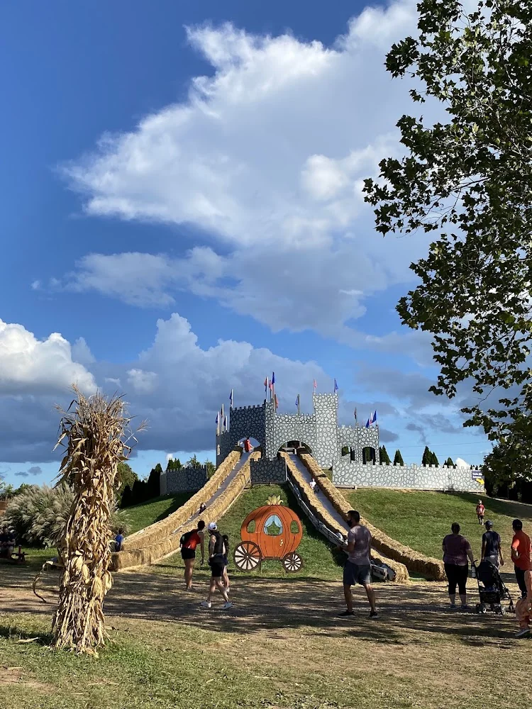 Cox Farms pumpkin patch and fall festival in Centreville, VA