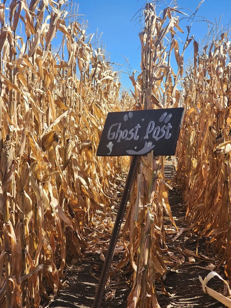 Didier Farms pumpkin patch and fall festival in Lincolnshire, IL