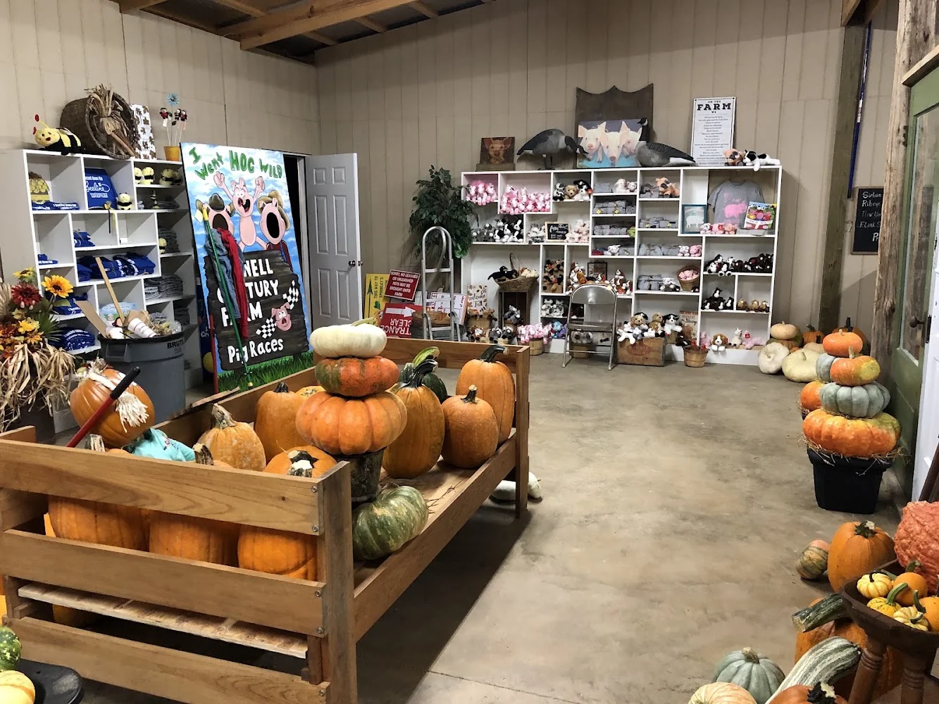 Donnell Century Farm pumpkin patch and fall festival in Jackson, TN