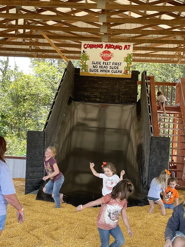 Donnell Century Farm pumpkin patch and fall festival in Jackson, TN
