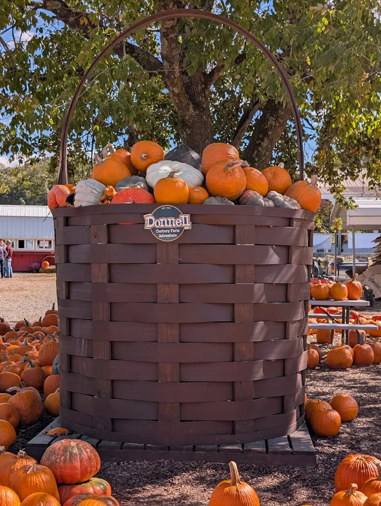 Donnell Century Farm pumpkin patch and fall festival in Jackson, TN
