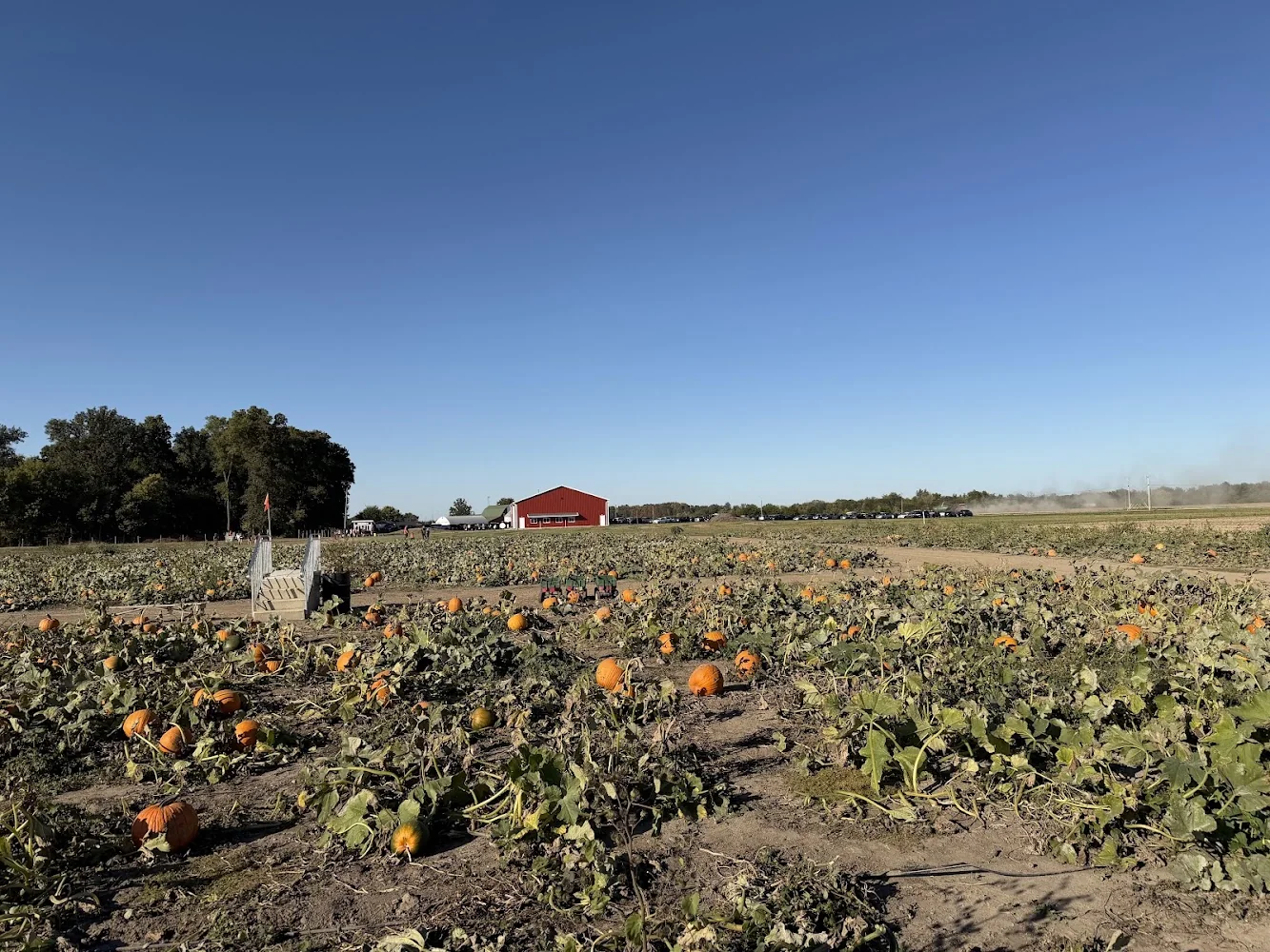 Exploration Acres pumpkin patch and fall festival in Lafayette, IN