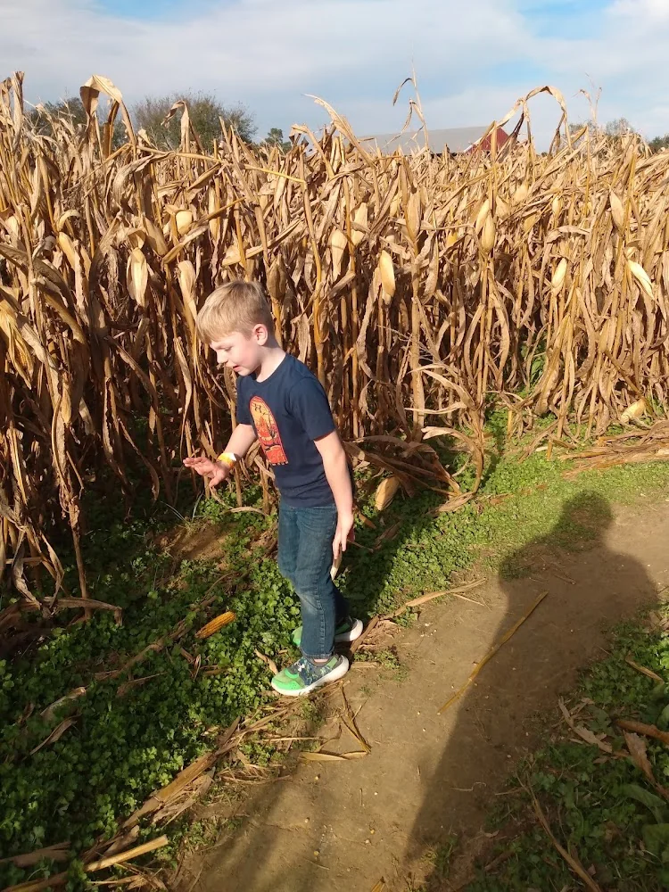 Falcon Ridge Farm pumpkin patch and fall festival in Toone, TN
