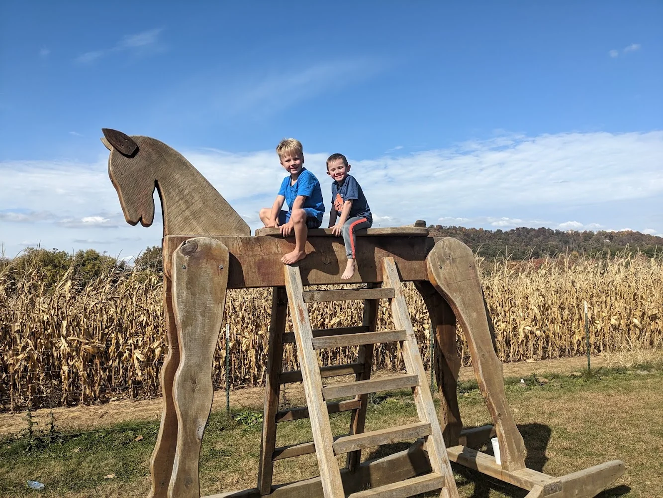 Fender's Farm & Corn Maze pumpkin patch and fall festival in Jonesborough, TN