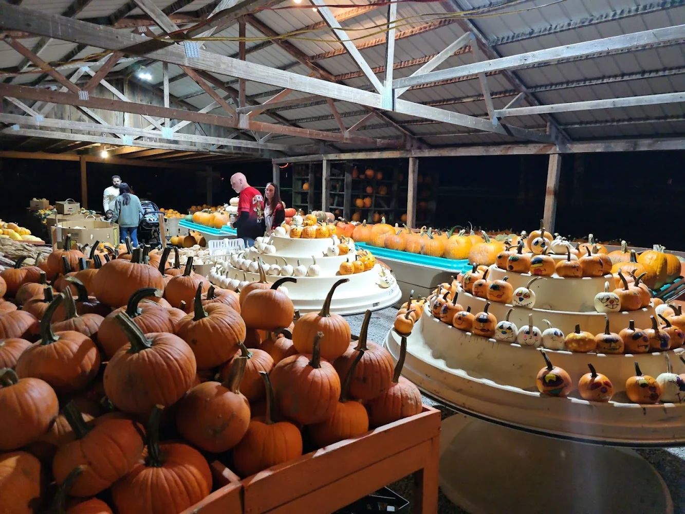 Fender's Farm & Corn Maze pumpkin patch and fall festival in Jonesborough, TN