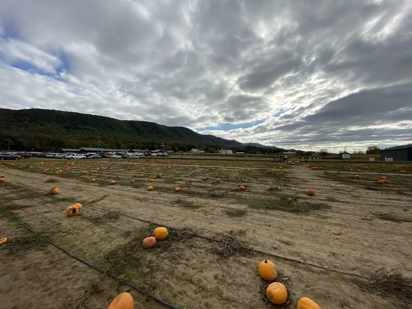 Fender's Farm & Corn Maze pumpkin patch and fall festival in Jonesborough, TN