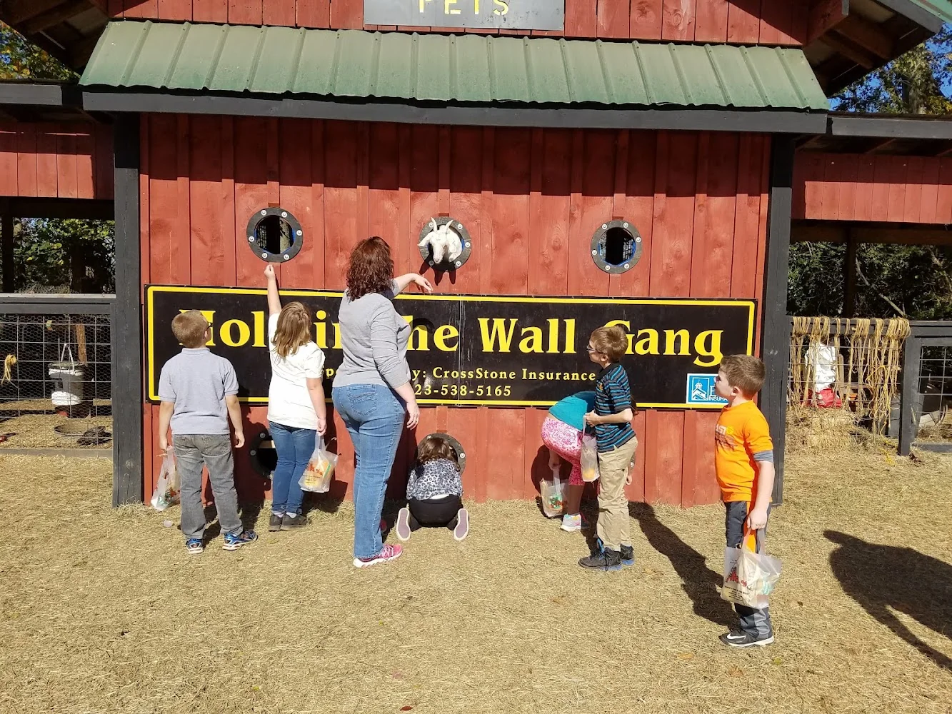 Fender's Farm & Corn Maze pumpkin patch and fall festival in Jonesborough, TN