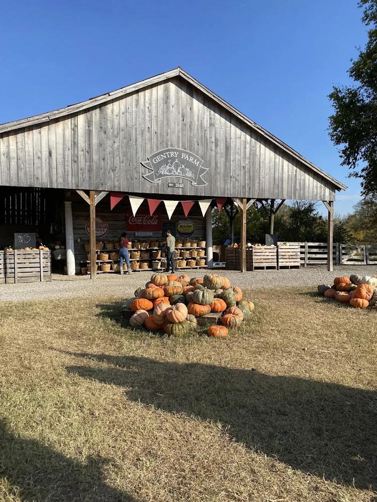 Gentry's Farm pumpkin patch and fall festival in Franklin, TN