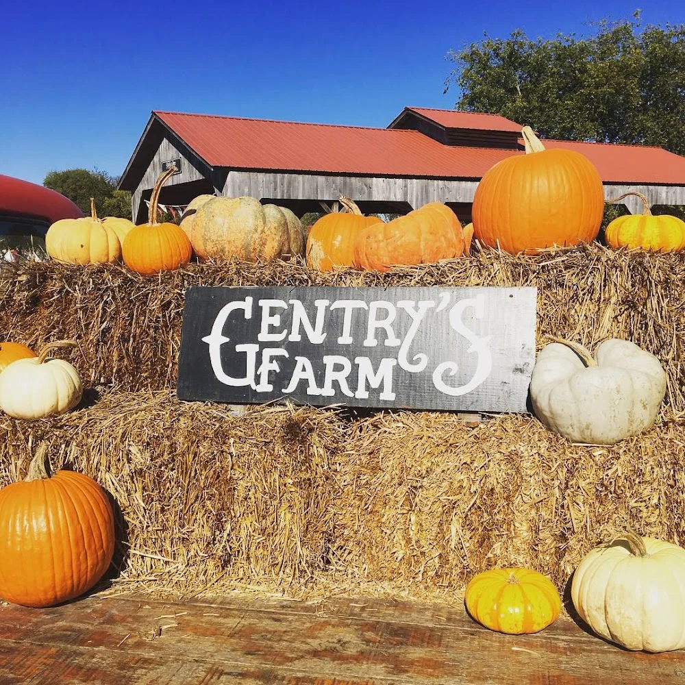 Gentry's Farm pumpkin patch and fall festival in Franklin, TN