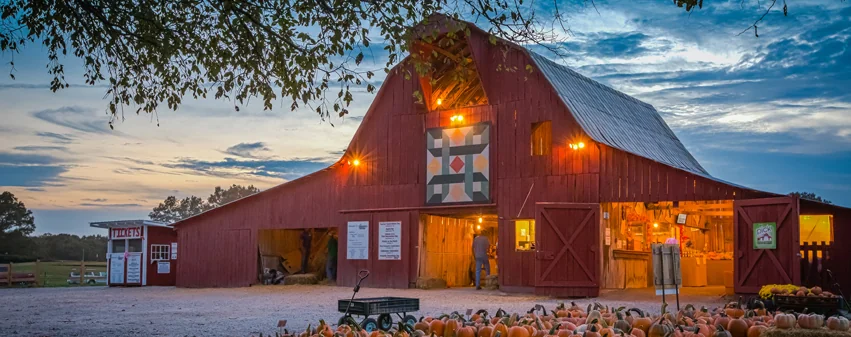 Grandaddy's Farm pumpkin patch and fall festival in Estill Springs, TN