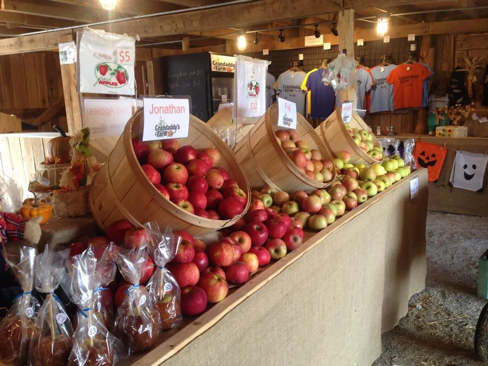 Grandaddy's Farm pumpkin patch and fall festival in Estill Springs, TN