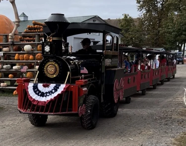 The Great Pumpkin Farm pumpkin patch and fall festival in Clarence, NY