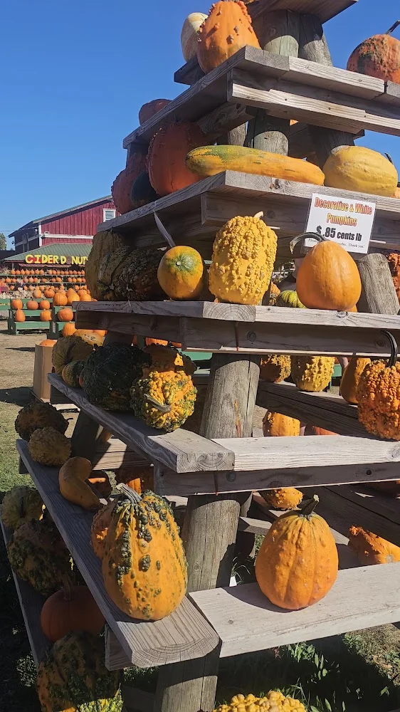 The Great Pumpkin Farm pumpkin patch and fall festival in Clarence, NY