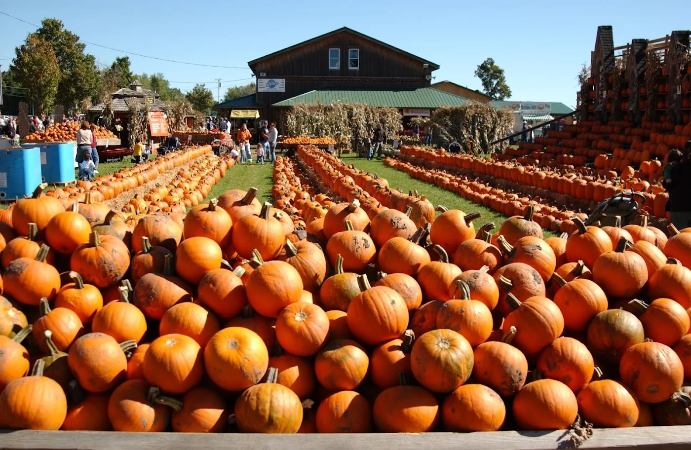 The Great Pumpkin Farm pumpkin patch and fall festival in Clarence, NY