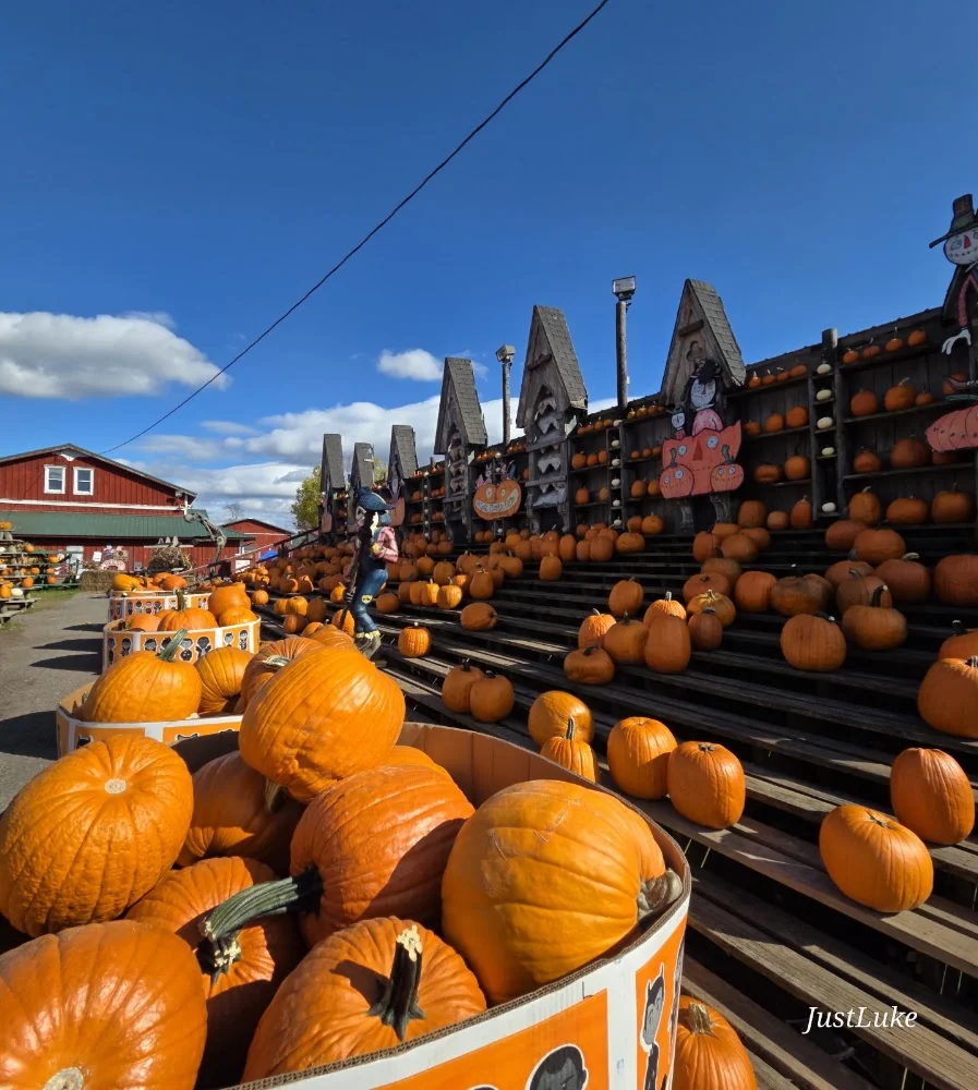 The Great Pumpkin Farm pumpkin patch and fall festival in Clarence, NY