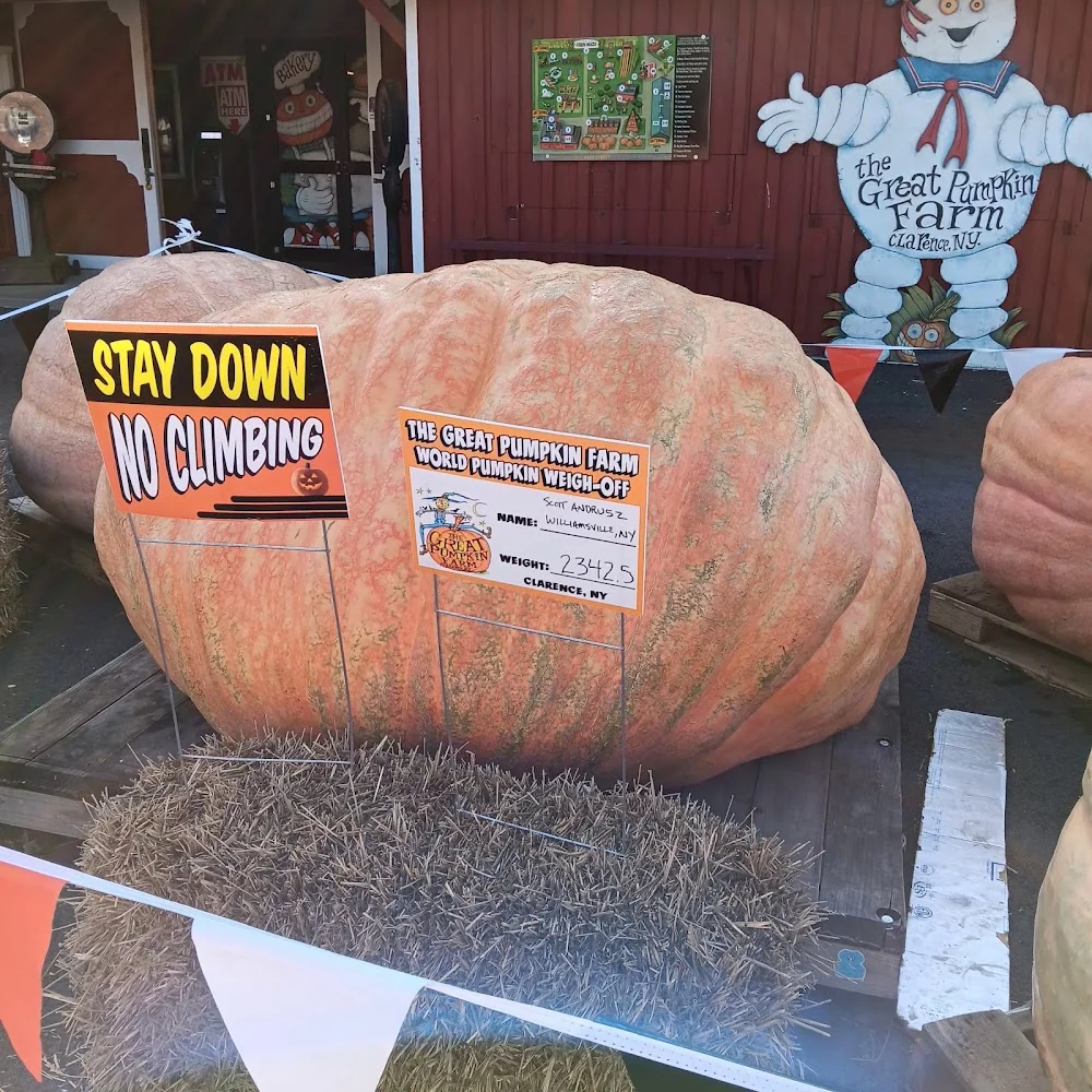 The Great Pumpkin Farm pumpkin patch and fall festival in Clarence, NY