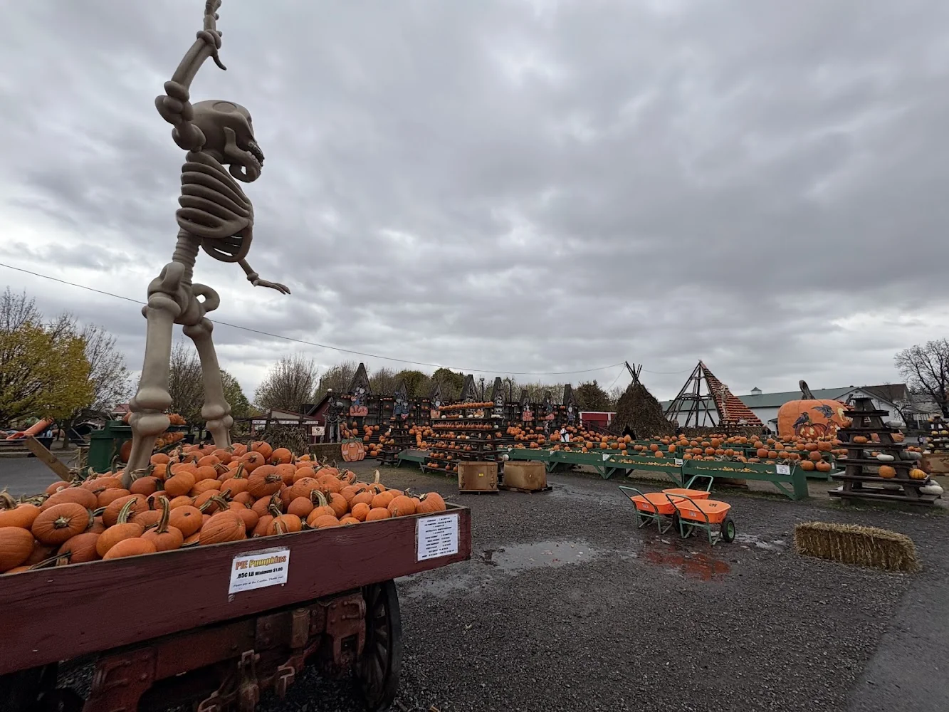 The Great Pumpkin Farm pumpkin patch and fall festival in Clarence, NY