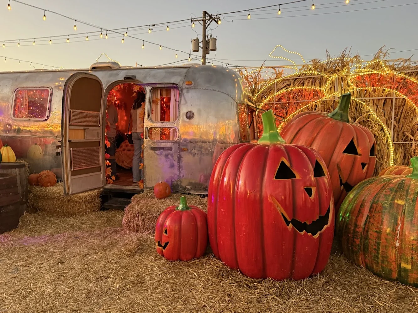 Jack's Pumpkin Pop-Up pumpkin patch and fall festival in Chicago, IL