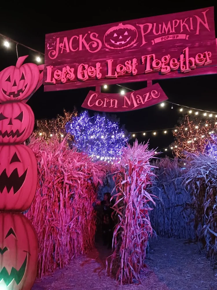 Jack's Pumpkin Pop-Up pumpkin patch and fall festival in Chicago, IL