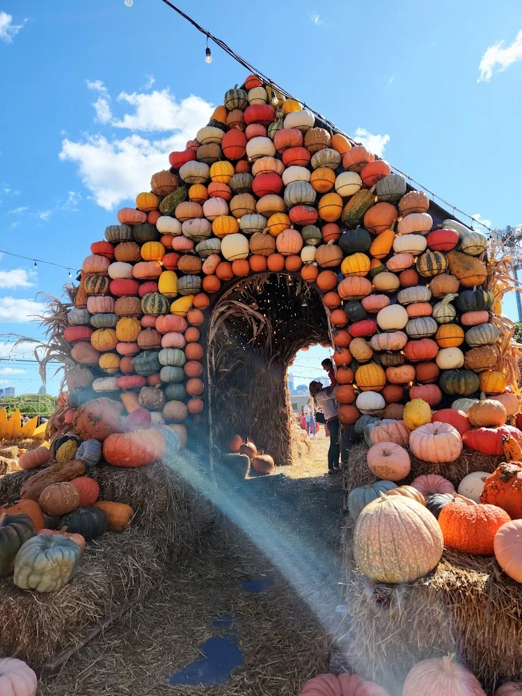 Jack's Pumpkin Pop-Up pumpkin patch and fall festival in Chicago, IL