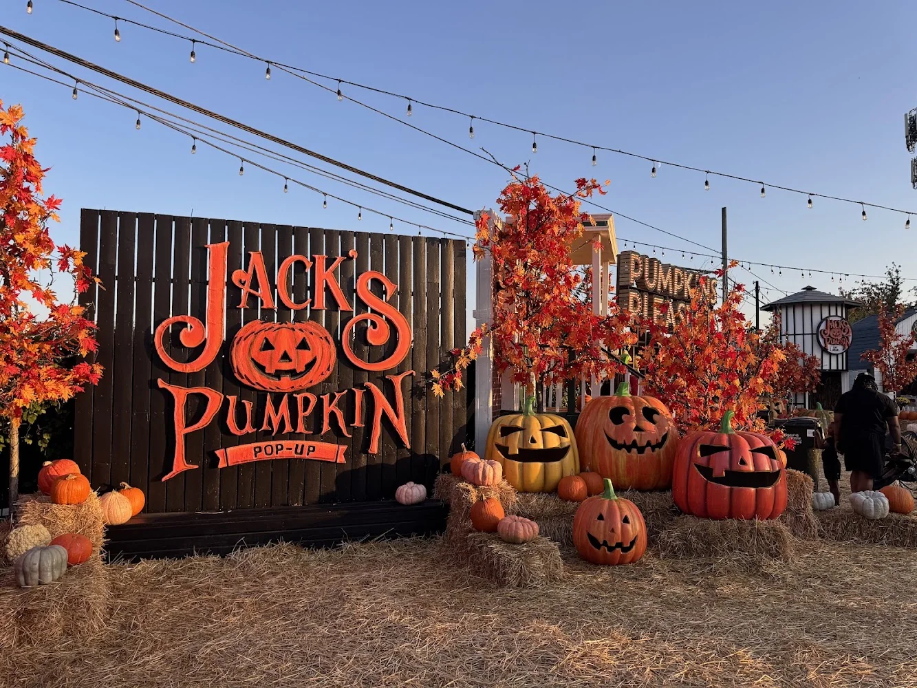 Jack's Pumpkin Pop-Up pumpkin patch and fall festival in Chicago, IL