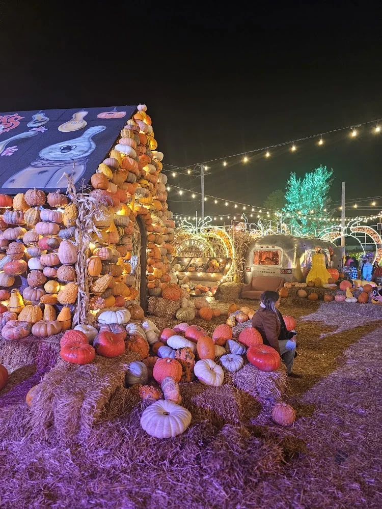 Jack's Pumpkin Pop-Up pumpkin patch and fall festival in Chicago, IL