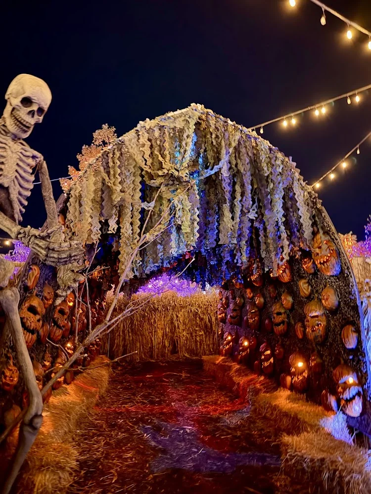 Jack's Pumpkin Pop-Up pumpkin patch and fall festival in Chicago, IL
