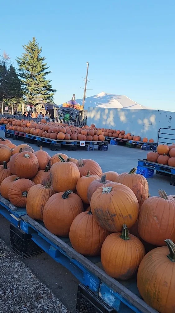 Jerry Smith Pumpkin Farm pumpkin patch and fall festival in Kenosha, WI