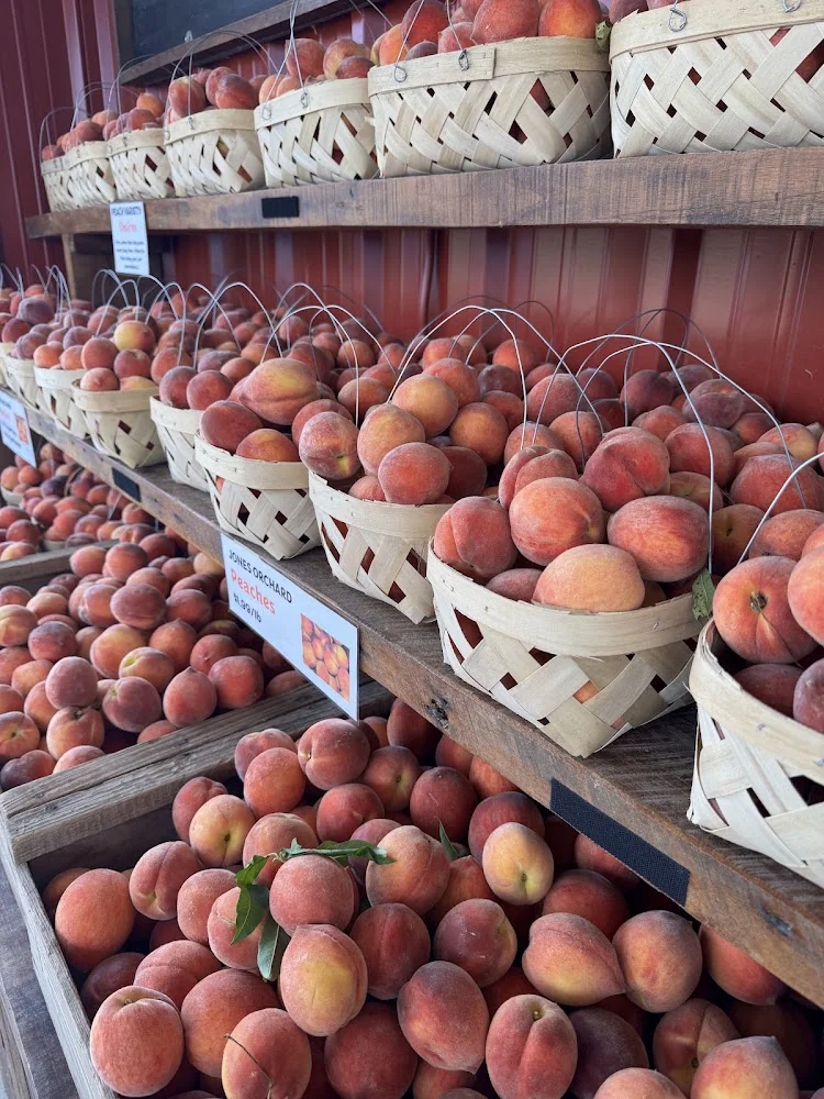 Jones Orchard pumpkin patch and fall festival in Millington, TN