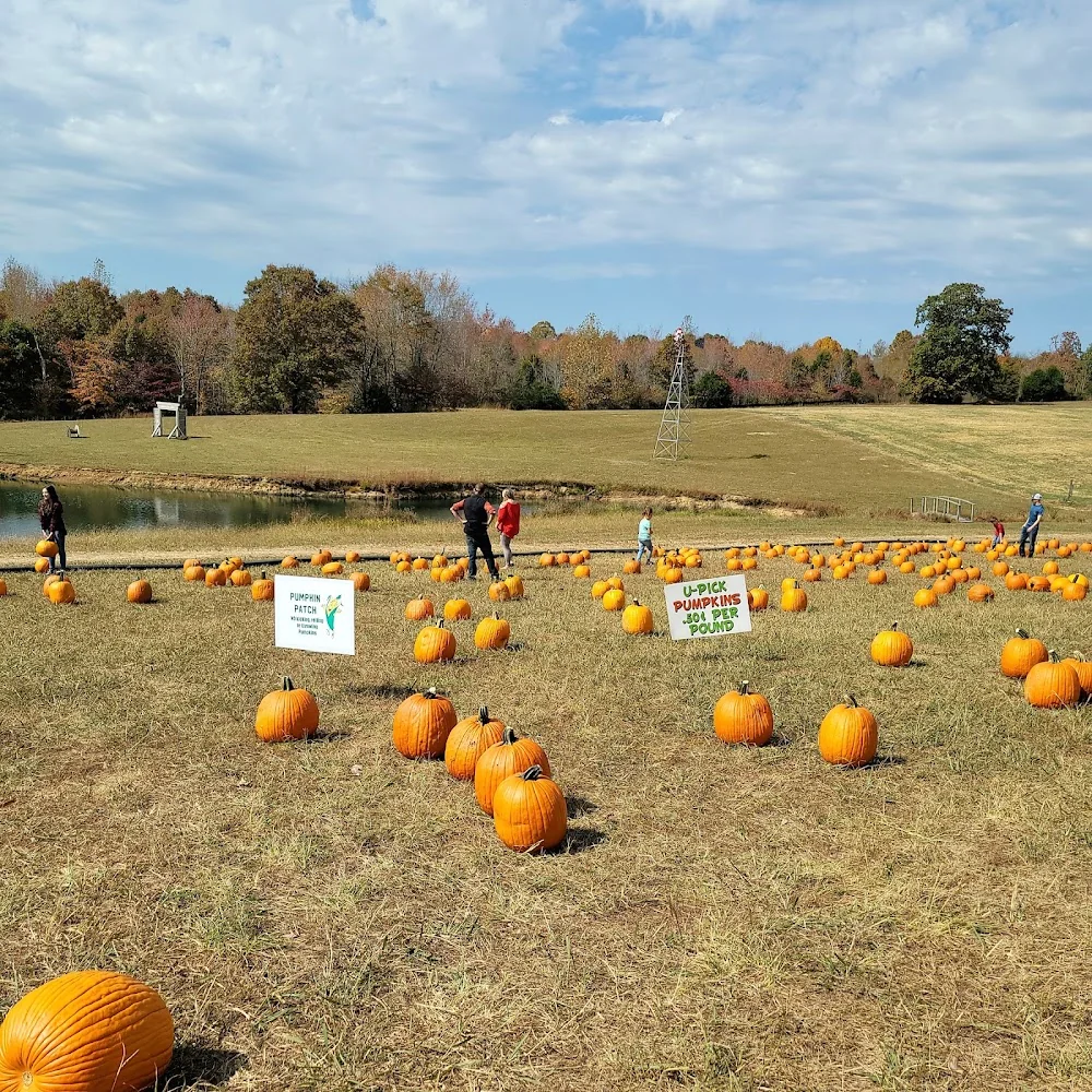 Keller's Corny Country pumpkin patch and fall festival in Dickson, TN