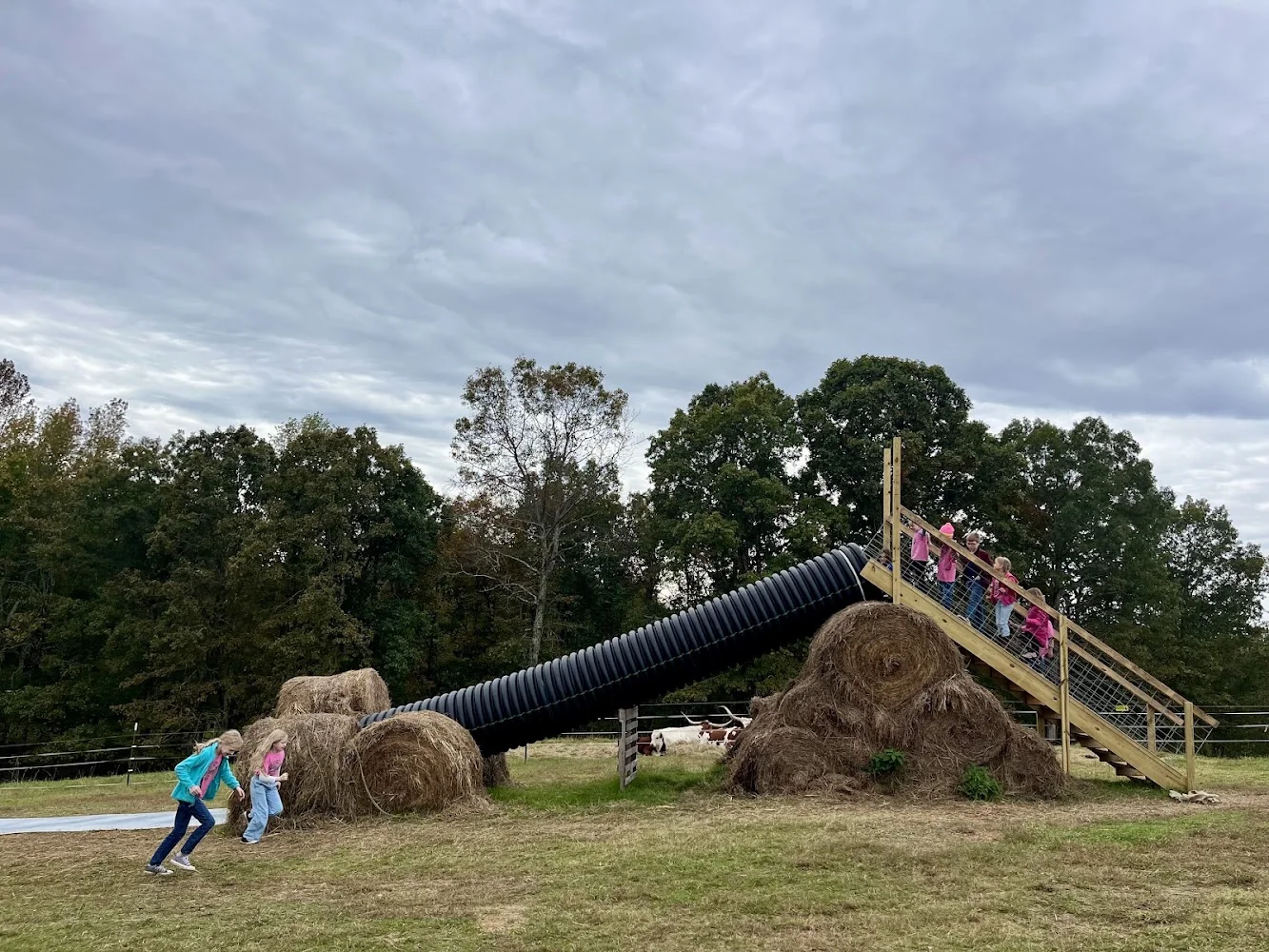 Keller's Corny Country pumpkin patch and fall festival in Dickson, TN