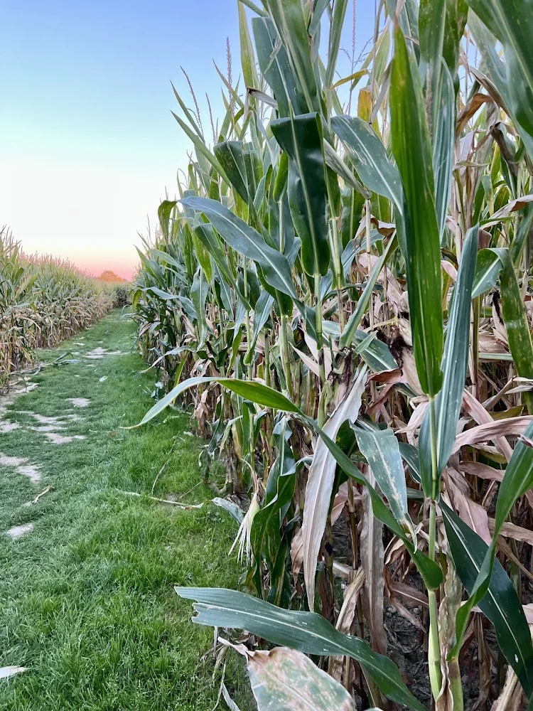 Kelsay Farms pumpkin patch and fall festival in Whiteland, IN